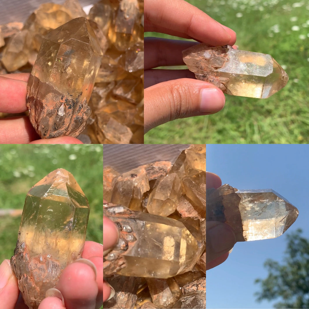 VENDU Citrine brut 11