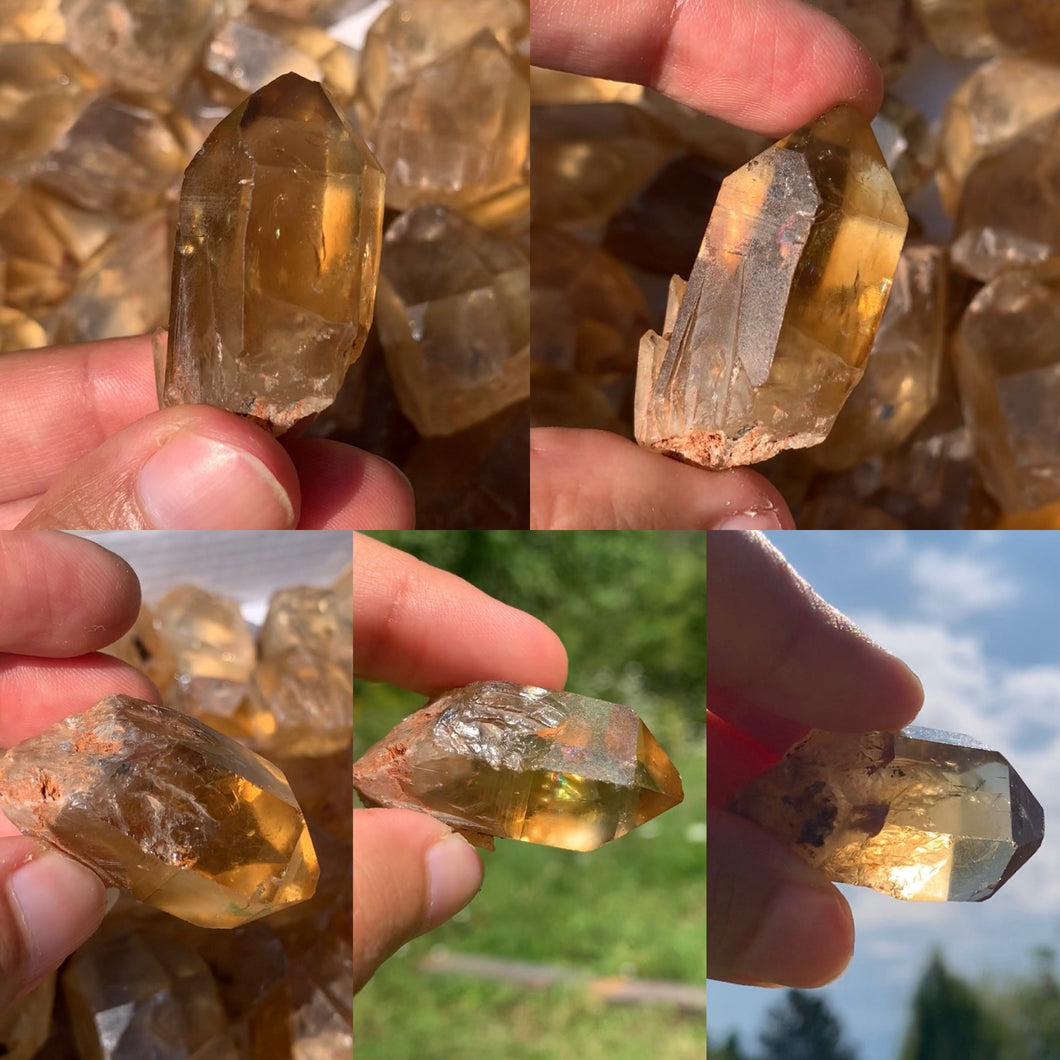 VENDU Citrine brut 24