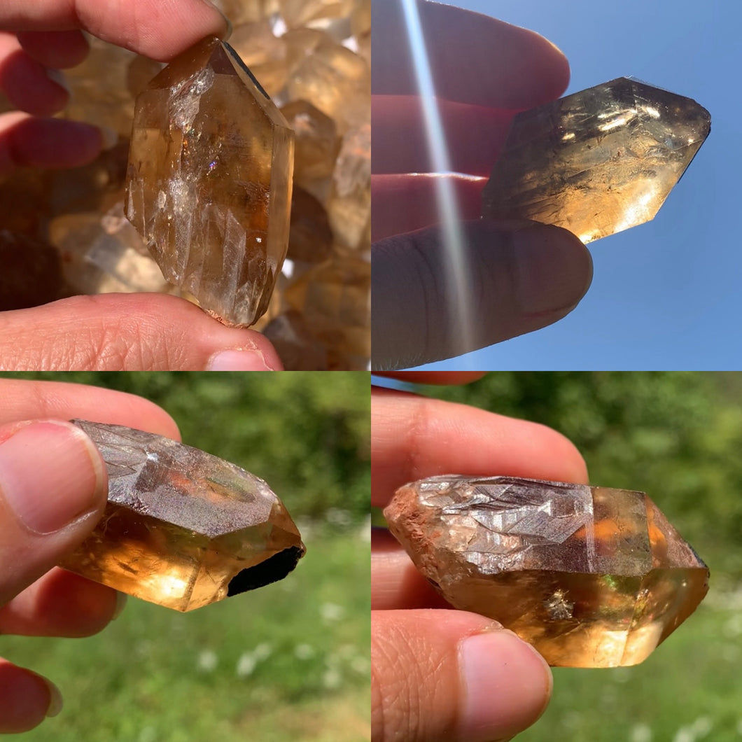 VENDU Citrine brut 33