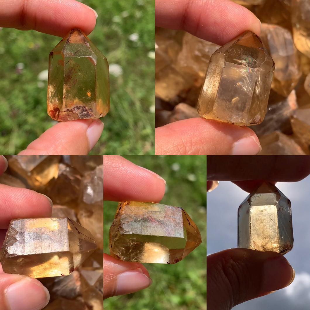VENDU Citrine brut 56