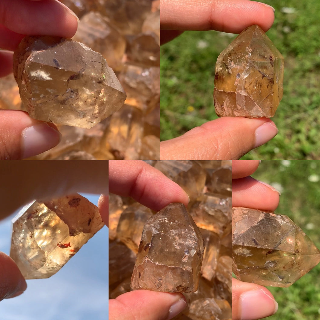 VENDU Citrine brut 81