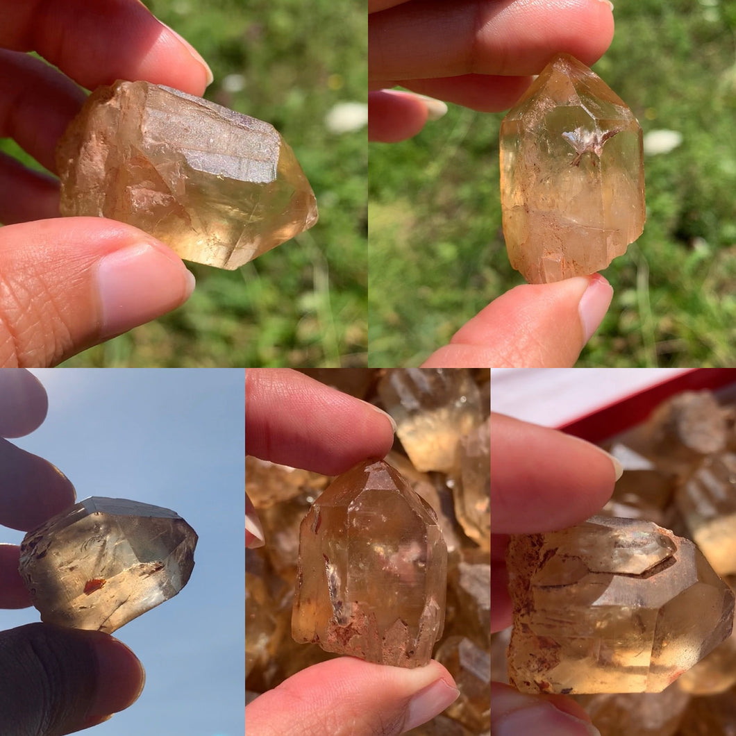 VENDU Citrine brut 100