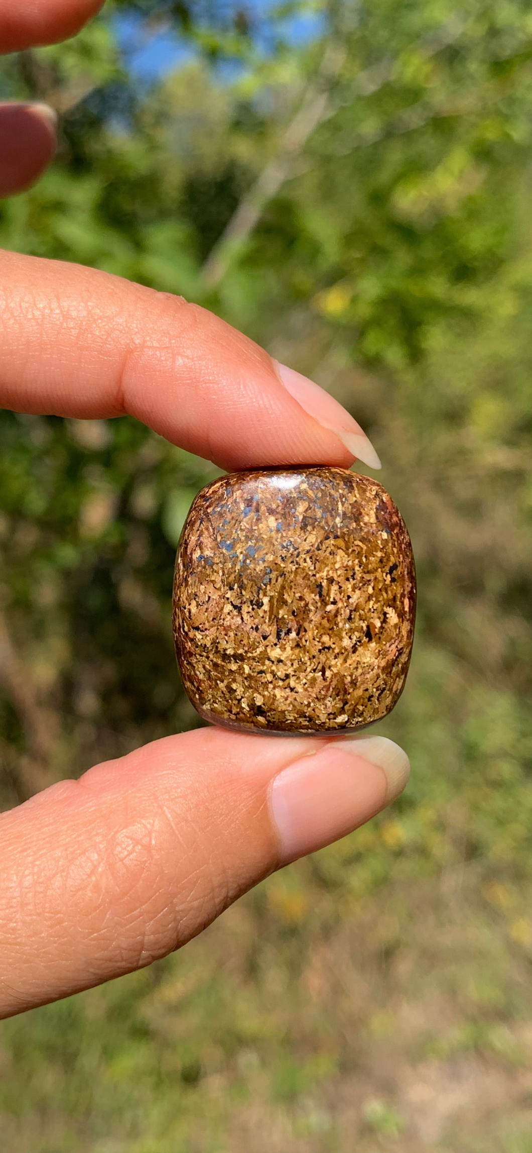 VENDU Bronzite 13