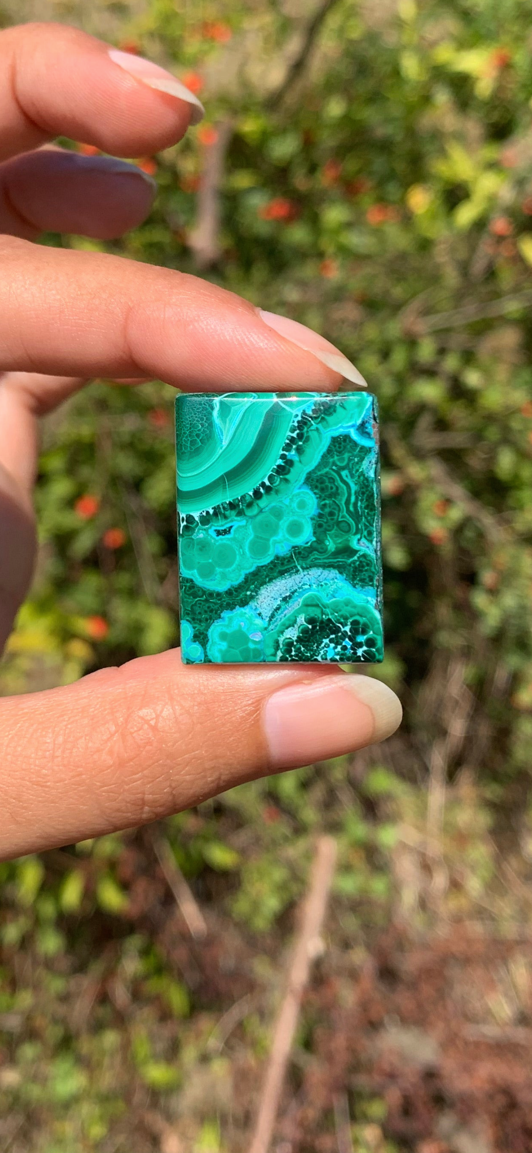 VENDU Chrysocolle Malachite 17