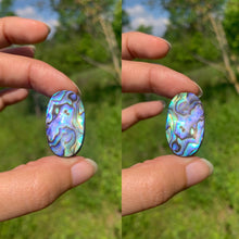 Charger l&#39;image dans la galerie, Abalone 59
