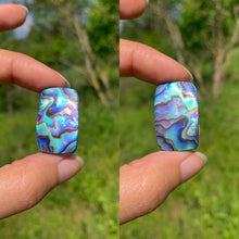 Charger l&#39;image dans la galerie, Abalone 63
