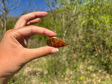 Charger l&#39;image dans la galerie, Agate Seam 16
