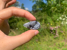 Charger l&#39;image dans la galerie, Agate dendritique 76
