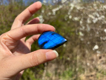 Charger l&#39;image dans la galerie, Labradorite 320
