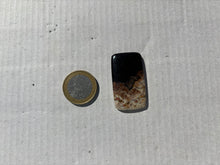 Charger l&#39;image dans la galerie, Bois fossilisé 9

