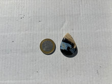 Charger l&#39;image dans la galerie, VENDU Bois fossilisé 10

