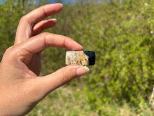Charger l&#39;image dans la galerie, Bois fossilisé 12
