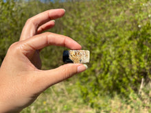 Charger l&#39;image dans la galerie, Bois fossilisé 12
