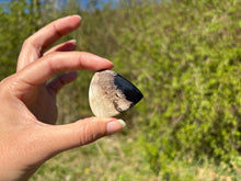 Charger l&#39;image dans la galerie, Bois fossilisé 13
