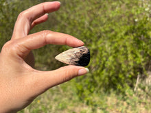 Charger l&#39;image dans la galerie, Bois fossilisé 14
