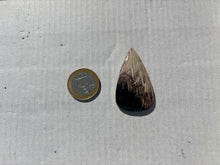 Charger l&#39;image dans la galerie, Bois fossilisé 14
