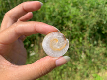 Charger l&#39;image dans la galerie, VENDU Ammonite 15
