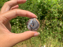 Charger l&#39;image dans la galerie, VENDU Ammonite 20
