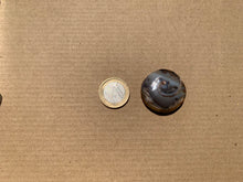 Charger l&#39;image dans la galerie, VENDU Ammonite 20
