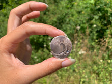 Charger l&#39;image dans la galerie, VENDU Ammonite 27
