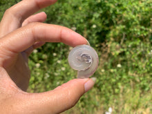 Charger l&#39;image dans la galerie, Ammonite 28
