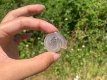 Charger l&#39;image dans la galerie, Ammonite 28
