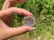 Charger l&#39;image dans la galerie, VENDU Ammonite 34

