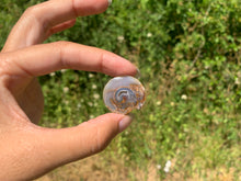 Charger l&#39;image dans la galerie, VENDU Ammonite 34
