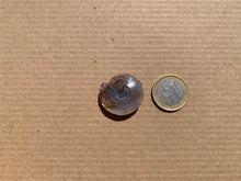 Charger l&#39;image dans la galerie, VENDU Ammonite 34
