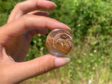 Charger l&#39;image dans la galerie, VENDU Ammonite 36

