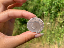Charger l&#39;image dans la galerie, VENDU Ammonite 39

