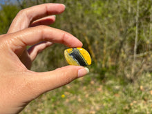 Charger l&#39;image dans la galerie, Jaspe Bumblebee 33
