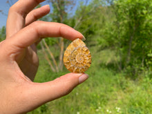 Charger l&#39;image dans la galerie, VENDU Ammonite de Madagascar 18
