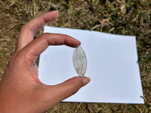 Charger l&#39;image dans la galerie, Quartz à Actinolite 4
