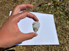 Charger l&#39;image dans la galerie, Quartz à Actinolite 2
