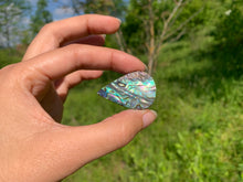 Charger l&#39;image dans la galerie, VENDU Abalone 52

