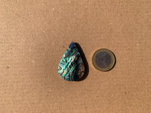 Charger l&#39;image dans la galerie, VENDU Abalone 52

