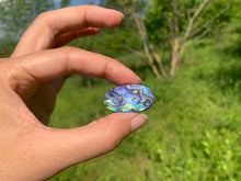 Charger l&#39;image dans la galerie, Abalone 59
