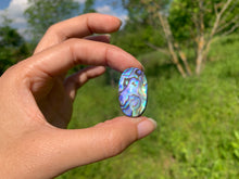 Charger l&#39;image dans la galerie, Abalone 59
