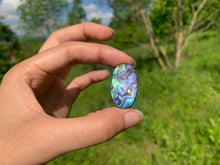 Charger l&#39;image dans la galerie, Abalone 59
