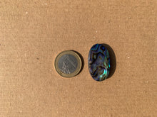 Charger l&#39;image dans la galerie, Abalone 59

