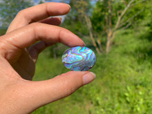 Charger l&#39;image dans la galerie, Abalone 61
