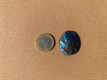 Charger l&#39;image dans la galerie, Abalone 61
