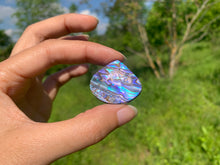 Charger l&#39;image dans la galerie, Abalone 62
