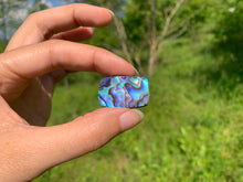 Charger l&#39;image dans la galerie, Abalone 63
