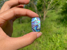 Charger l&#39;image dans la galerie, Abalone 63
