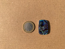 Charger l&#39;image dans la galerie, Abalone 63
