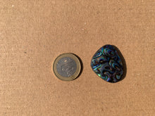 Charger l&#39;image dans la galerie, Abalone 64
