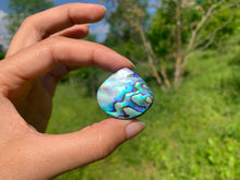 Charger l&#39;image dans la galerie, Abalone 65
