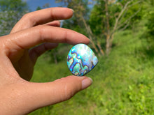 Charger l&#39;image dans la galerie, Abalone 65

